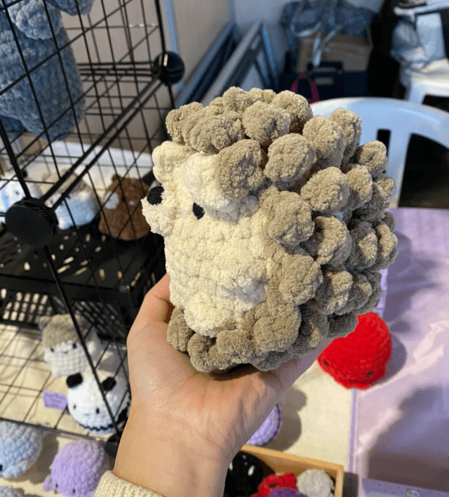 Choupisson 🦔