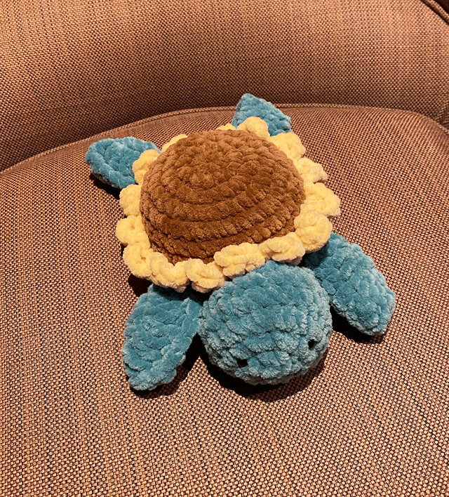 Tortue tournesol 🌻🐢