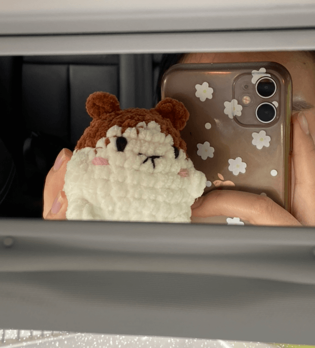 Hamster 🐹